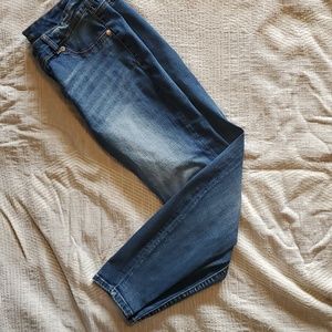 Maurices Jeans 16W